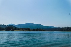 Alder Lake