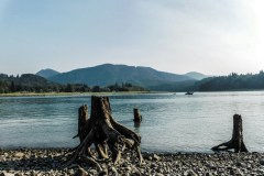 Alder Lake