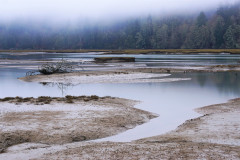 Billy Frank Jr. Nisqually National Wildlife Refuge