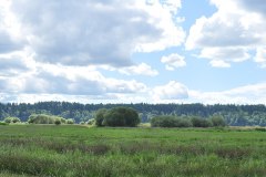Billy Frank Jr. Nisqually National Wildlife Refuge