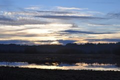 Billy Frank Jr. Nisqually National Wildlife Refuge