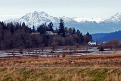 Billy Frank Jr. Nisqually National Wildlife Refuge