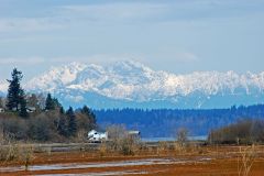 Billy Frank Jr. Nisqually National Wildlife Refuge