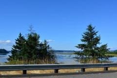 Billy Frank Jr. Nisqually National Wildlife Refuge