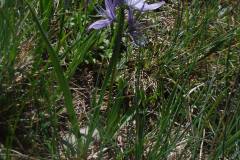 Black River-Mima Prairie Glacial Heritage Preserve