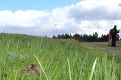 Black River-Mima Prairie Glacial Heritage Preserve