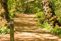 Burfoot Park