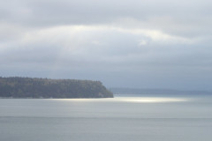 Camano-Island-1