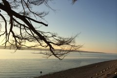 Camano-Island-5