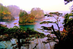 Cape-Flattery-4