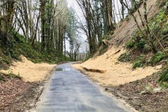 Chehalis Western Trail