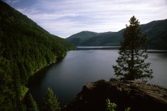 Colville National Forest