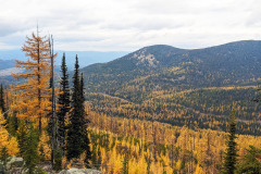 Colville National Forest