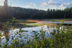 Colville National Forest