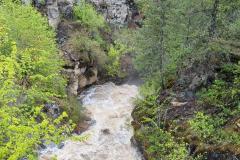 Colville National Forest