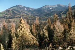 Colville National Forest