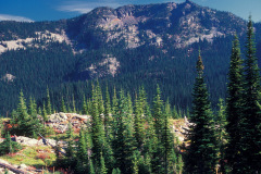 Colville National Forest