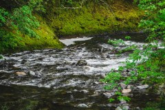 Deschutes River