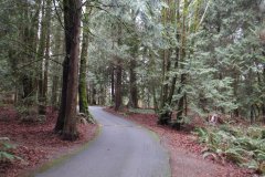 Flowing Lake Park & Campground at Leckie's Beach