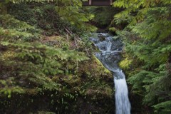 Gifford Pinchot National Forest
