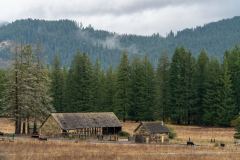 Gifford Pinchot National Forest