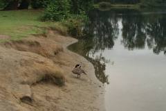 Gissberg Twin Lakes