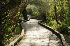 Grays-Harbor-National-Wildlife-Refuge-2