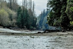 Henderson Inlet