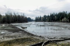 Henderson Inlet