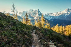 Heybrook Ridge Trail
