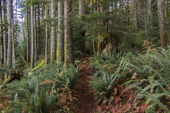 Heybrook Ridge Trail