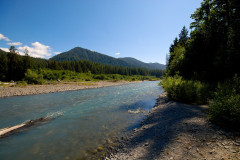 Hoh-River-1