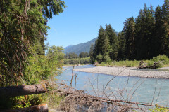 Hoh-River-5