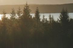 Hood Canal