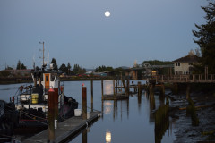 Hoquiam-River-3