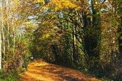 Interurban Trail