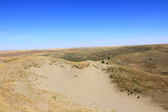 Juniper-Dunes-Wilderness-1