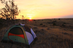 Juniper-Dunes-Wilderness-5