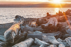 Kayak Point Regional County Park