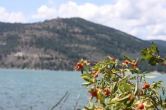 Lake Roosevelt National Recreation Area