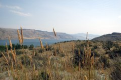 Lake Roosevelt National Recreation Area