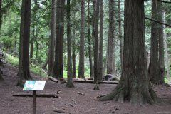 Liberty Lake Regional Park
