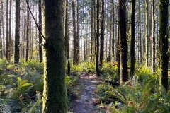 Lord Hill Regional Park