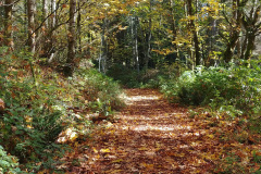 Lord Hill Regional Park