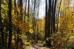 Lord Hill Regional Park