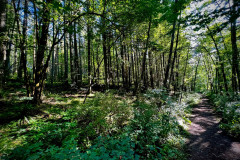 Lord Hill Regional Park