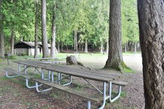 Millersylvania State Park