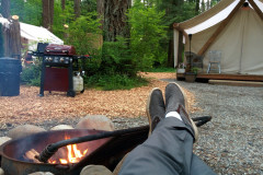 Millersylvania State Park