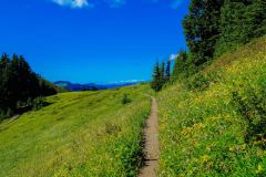 Mount Baker–Snoqualmie National Forest