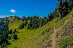Mount Baker–Snoqualmie National Forest